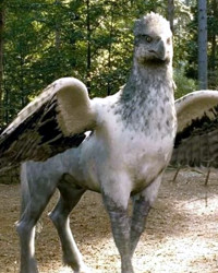 Imagen de Buckbeak