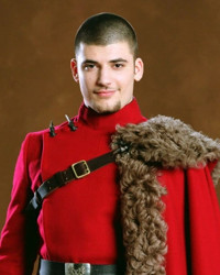 Imagen de Viktor Krum